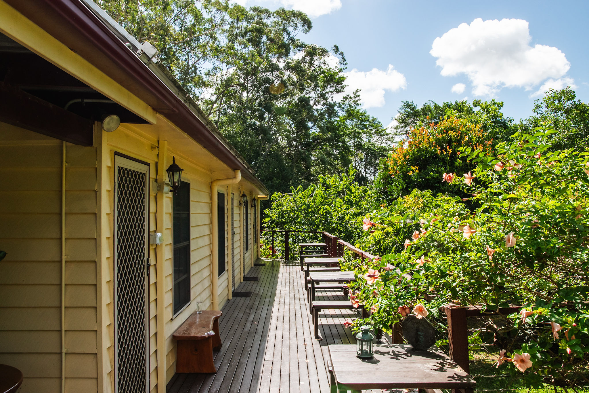 Orchard & Beerwah Rooms - Outdoor Balcony with Mountain Views